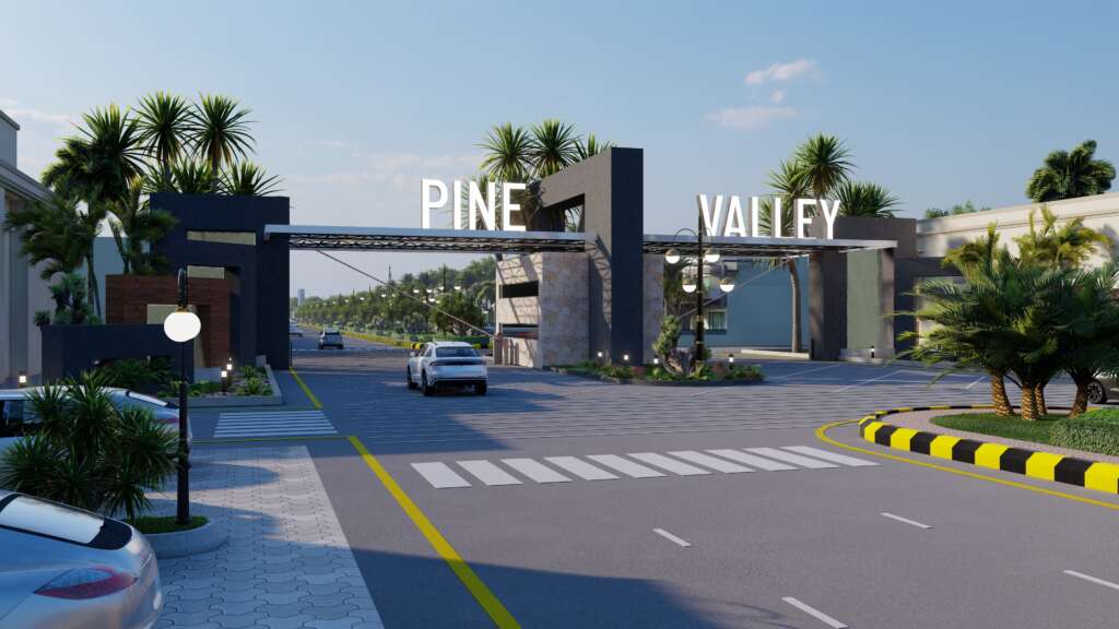 Pine Valley Investment